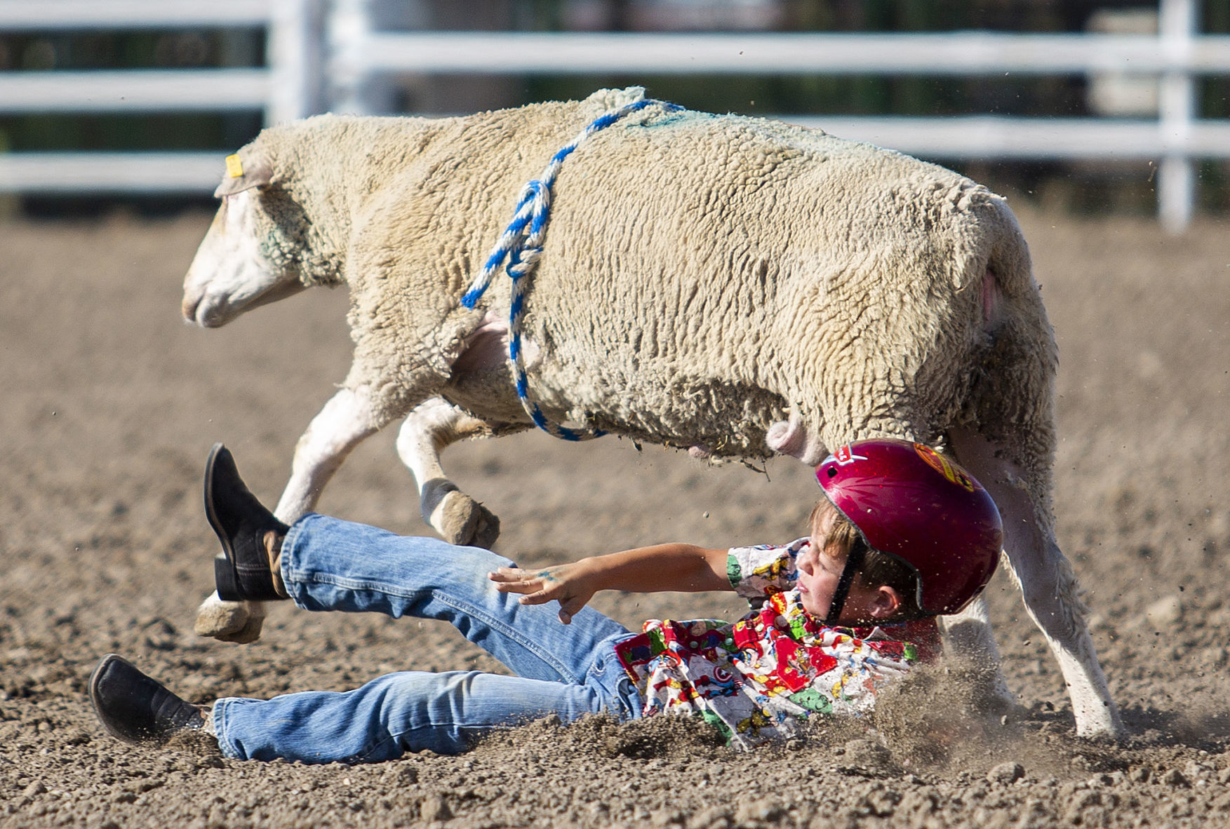 Mutton Busting in Minidoka